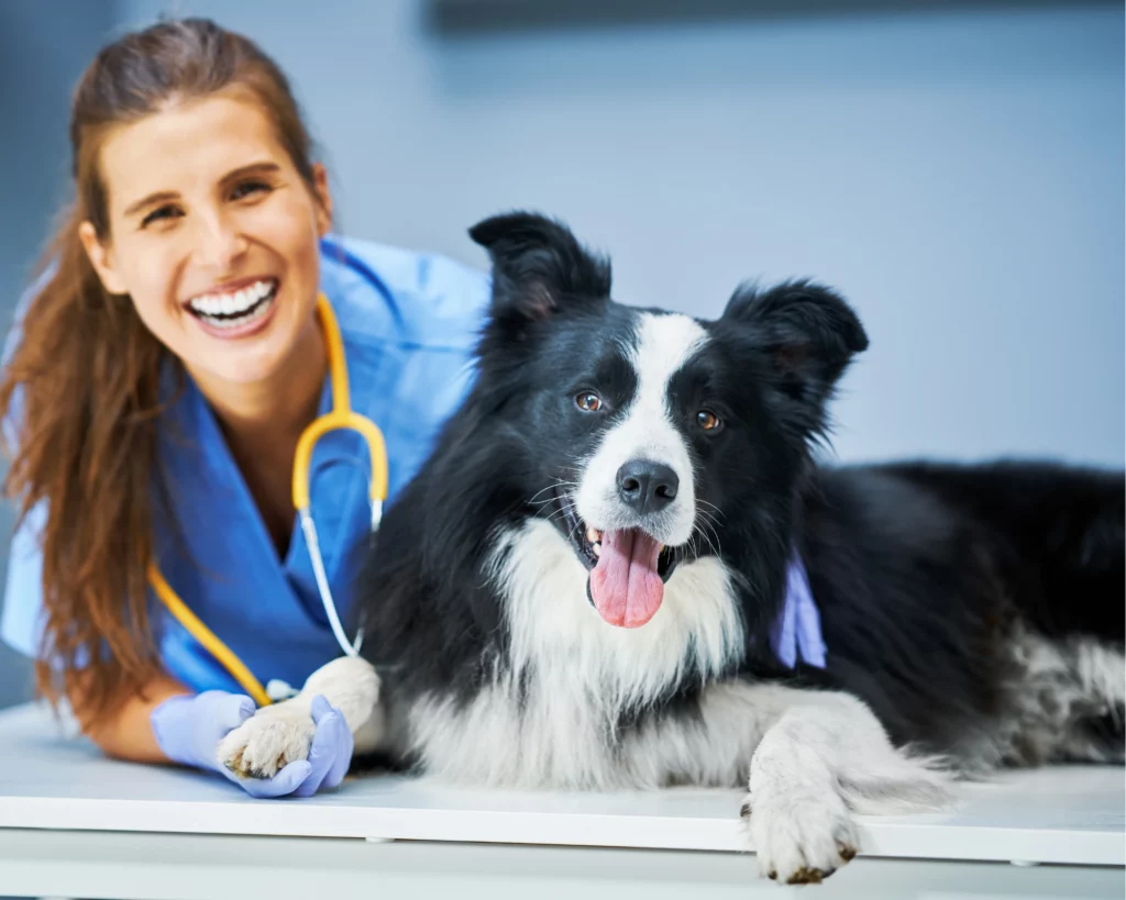 Understanding Atopic Dermatitis in Dogs