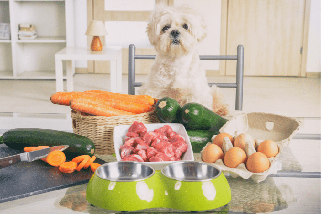 Nutrition for Peace of Mind: Foods and Supplements to Boost Pet Metabolism and Combat Stress