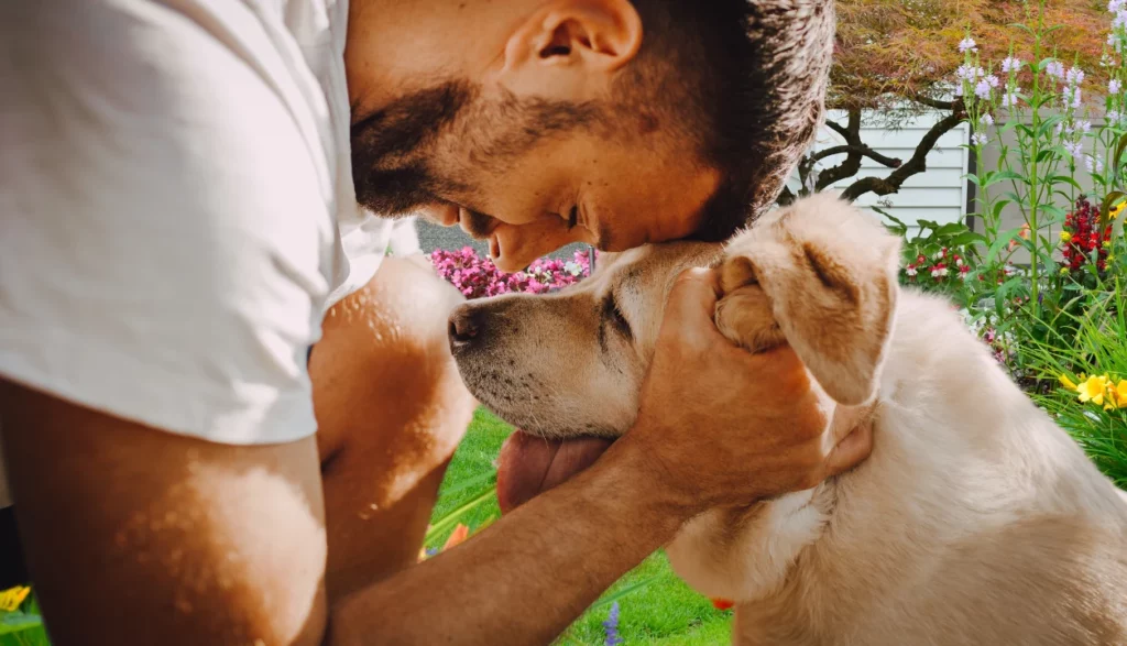 Justin Timberlake Arrested for DUI & The Healing Power of Pets: A Journey Through Mental Wellness 🌟🐾