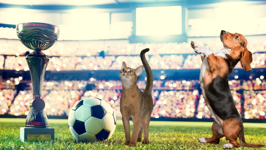 The Emotional Impact on Our Beloved Pets