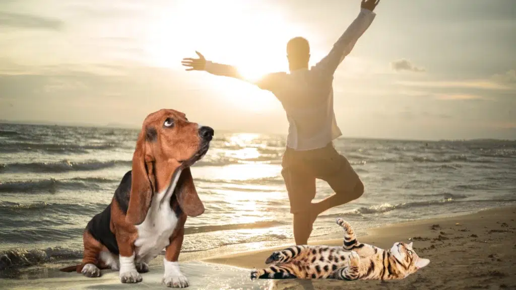 Get ready to explore how our furry friends can make our lives happier and more fulfilling