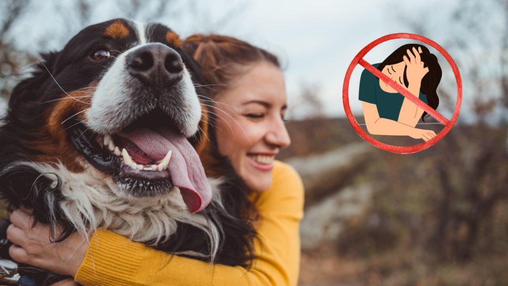 How Personality Traits Influence Our Attachment to Animals 🐾