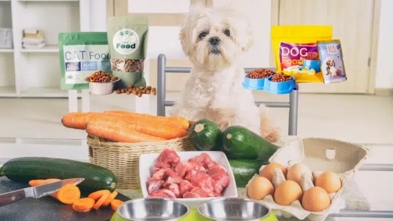 In recent news, a major recall of popular dog and cat food brands has ignited concern among pet owners across the country.
