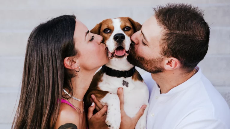 Exploring the Trends, Benefits, and Future of Pet Humanization in 2024