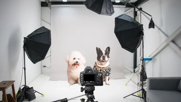 How to Take Amazing Pet Photos and Turn Them into Prints 🐾📸