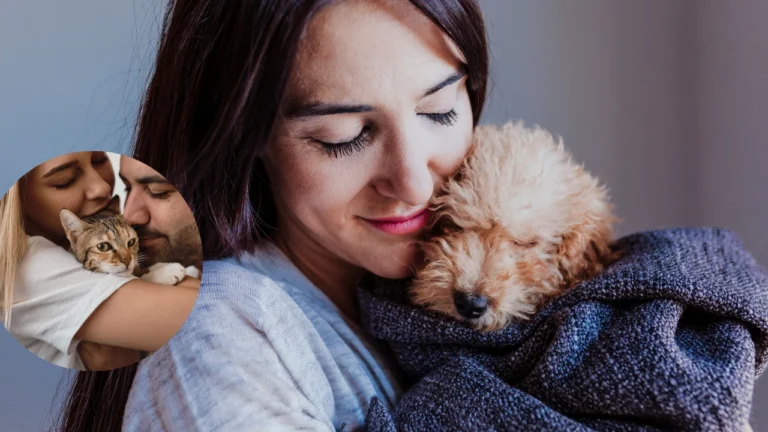 Why Some Hotels Allow Kids but Not Dogs