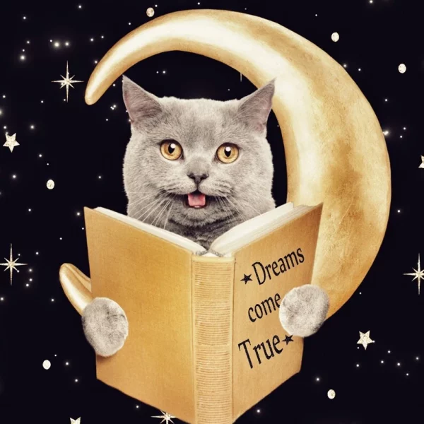 Sweet pet sittig on the Moon while reading a book (2)