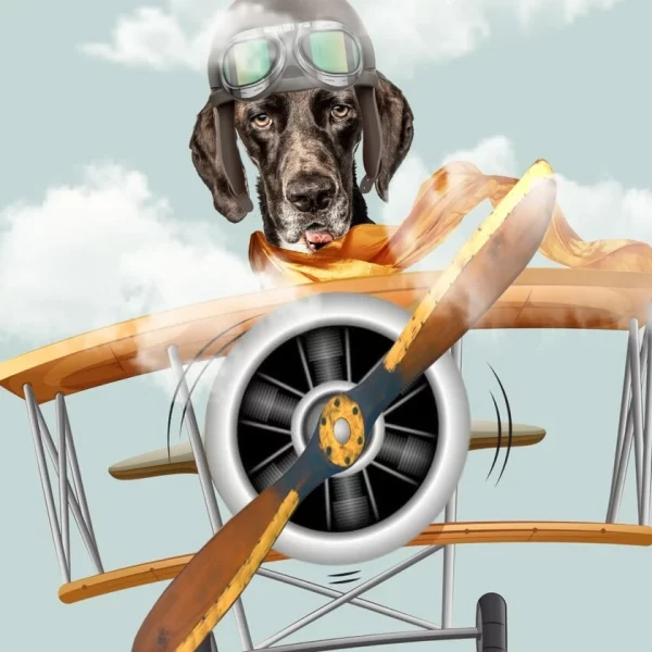 funny custom pet portrait flying a airplane