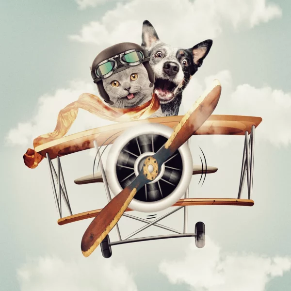 Elevate Pet Portraits to the Skies: Digital Art, Customization, and Memorable Gifts for 2024