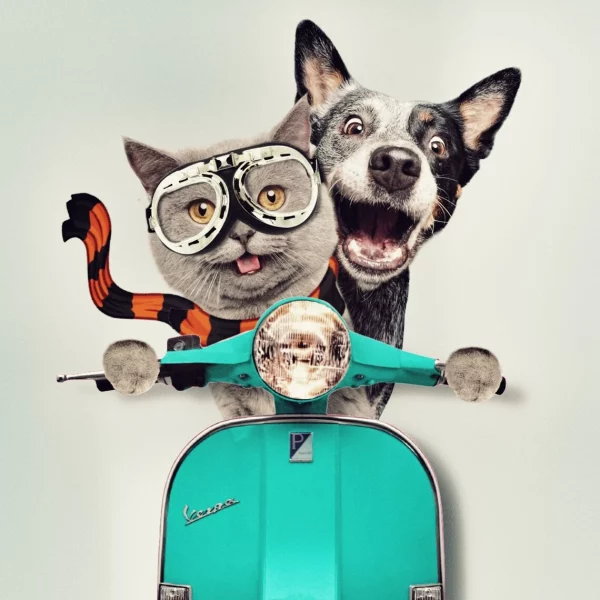 Retro Vespa Pet Portraits: Your Pet's Timeless Journey in Digital Art